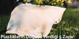 plastiklerin-dogaya-verdigi-5-zarar