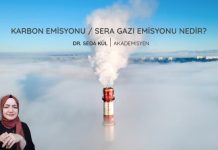 karbon-emisyonu-sera-gazi-emisyonu-nedir