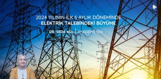 2024-yilinin-ilk-6-aylik-doneminde-elektrik-talebindeki-buyume