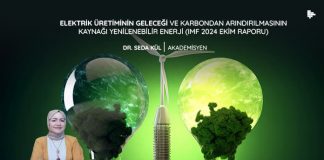 elektrik-uretiminin-gelecegi-ve-karbondan-arindirilmasinin-kaynagi-yenilenebilir-enerji-imf-2024-ekim-raporu